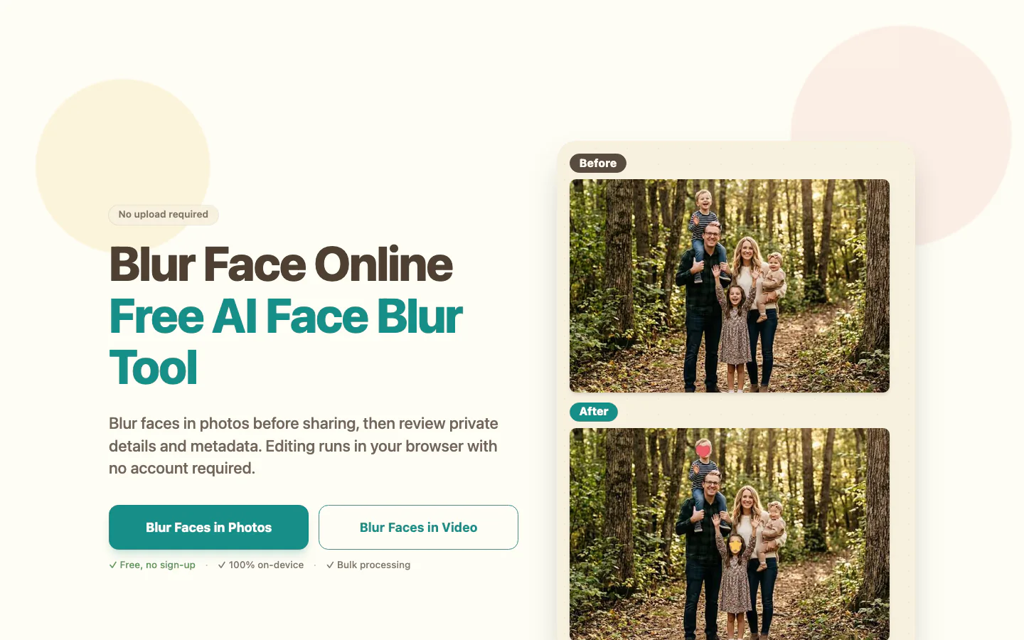 Blur Face official-page screenshot