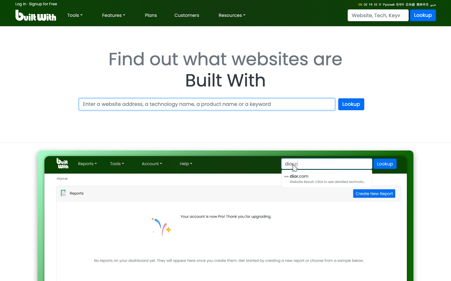 BuiltWith interface preview