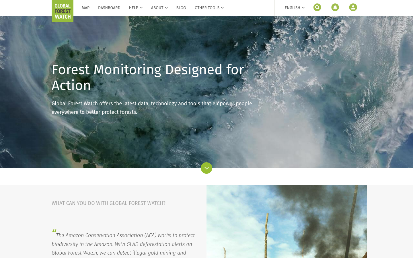 Global Forest Watch interface preview