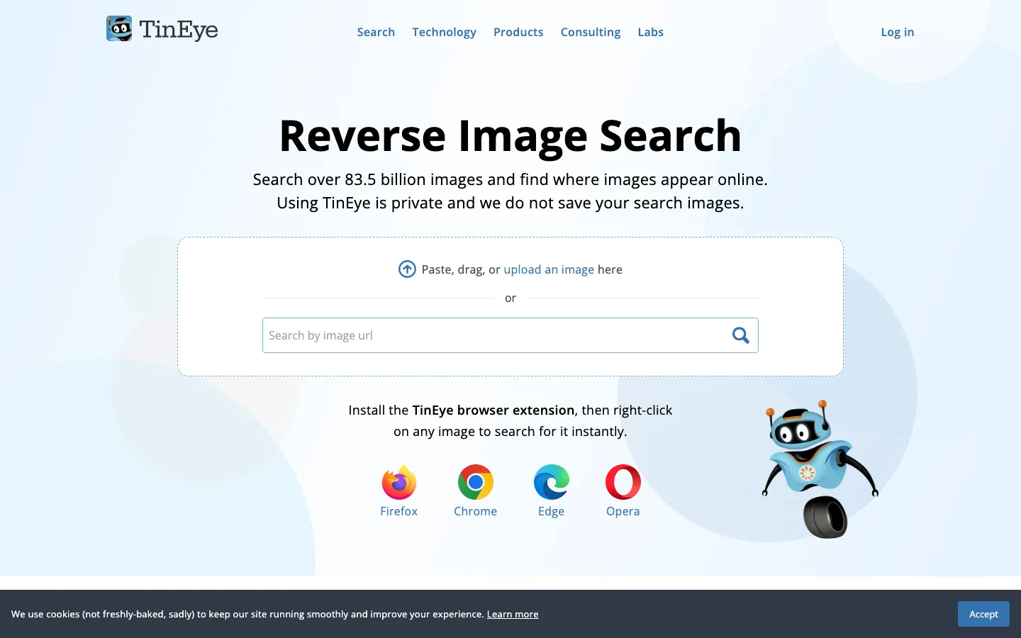 TinEye interface preview